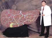 larry the liver