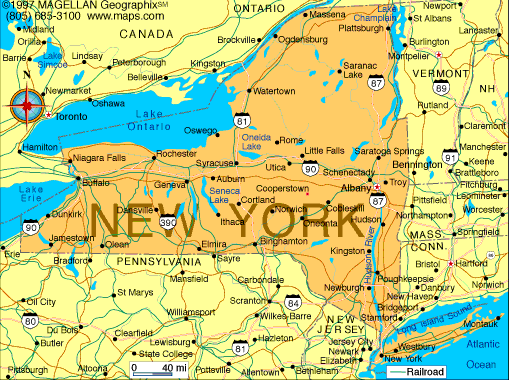 Assembly programs in New York