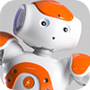 NAO Robot STEAM Education
