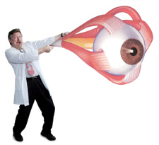 anatomy eye