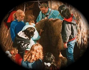 native american school shows