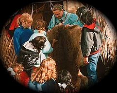 native american school program
