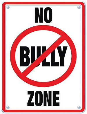 no bully zone10 25 resized 600