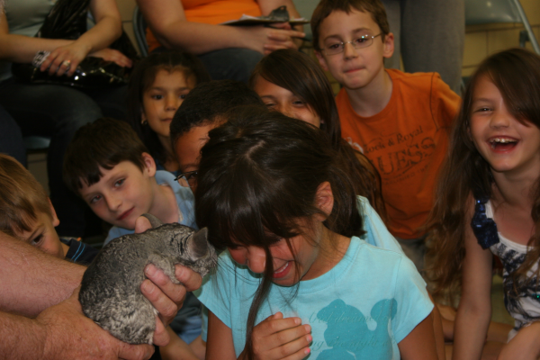 School assemblies  animals5 resized 600