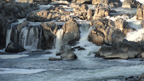 school assemblies Great Falls National Park resized 600