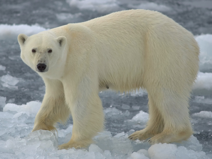 science assemblies   climate change