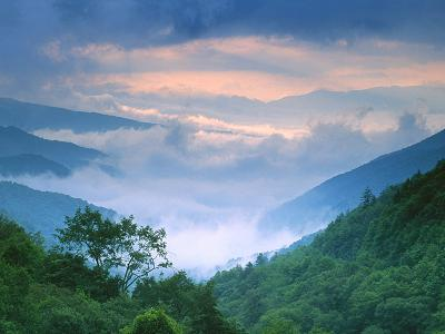 Tennessee assembly programs