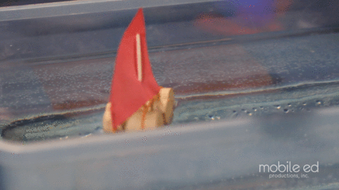 Make a boat that really floats | Handy Dan the Junkyard Man | Mobile Ed Productions