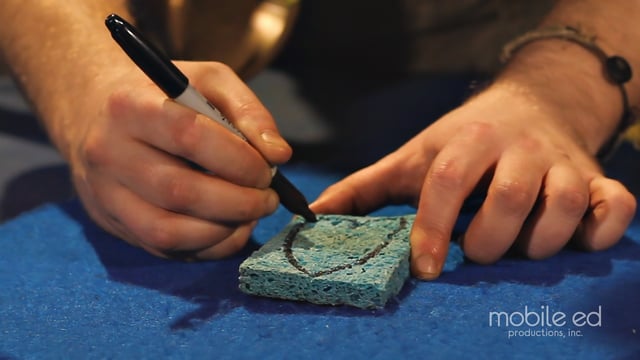 Draw the shape of your stamp on the sponge | Handy Dan the Junkyard Man | Mobile Ed Productions