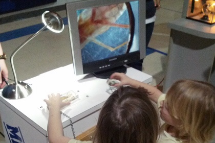 Kidz Science Safari - Hands-On STEAM Education Assembly