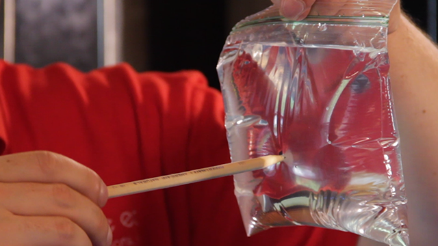 Press your sharpened pencil against the plastic bag