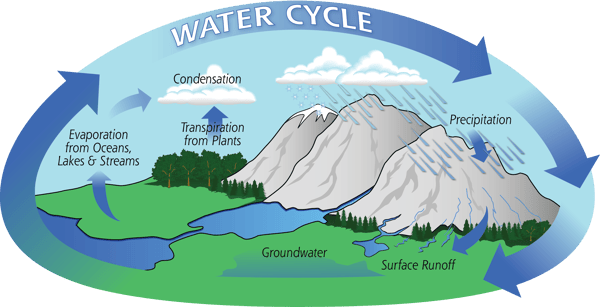 Here's a nice Water cycle diagram!  Thank you, NASA!
