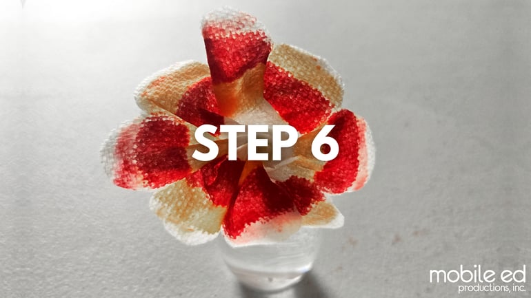 8-10 Flower Craft Blog Step6