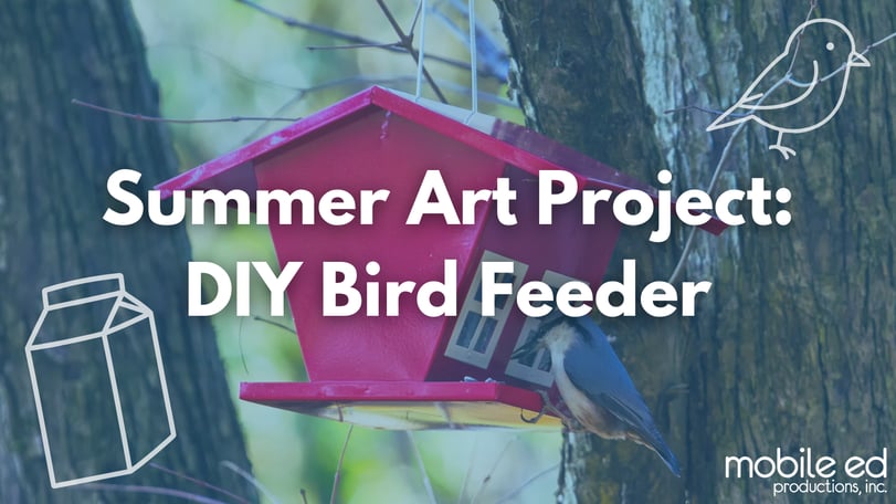 Blog-Summer DIY Bird Feeder