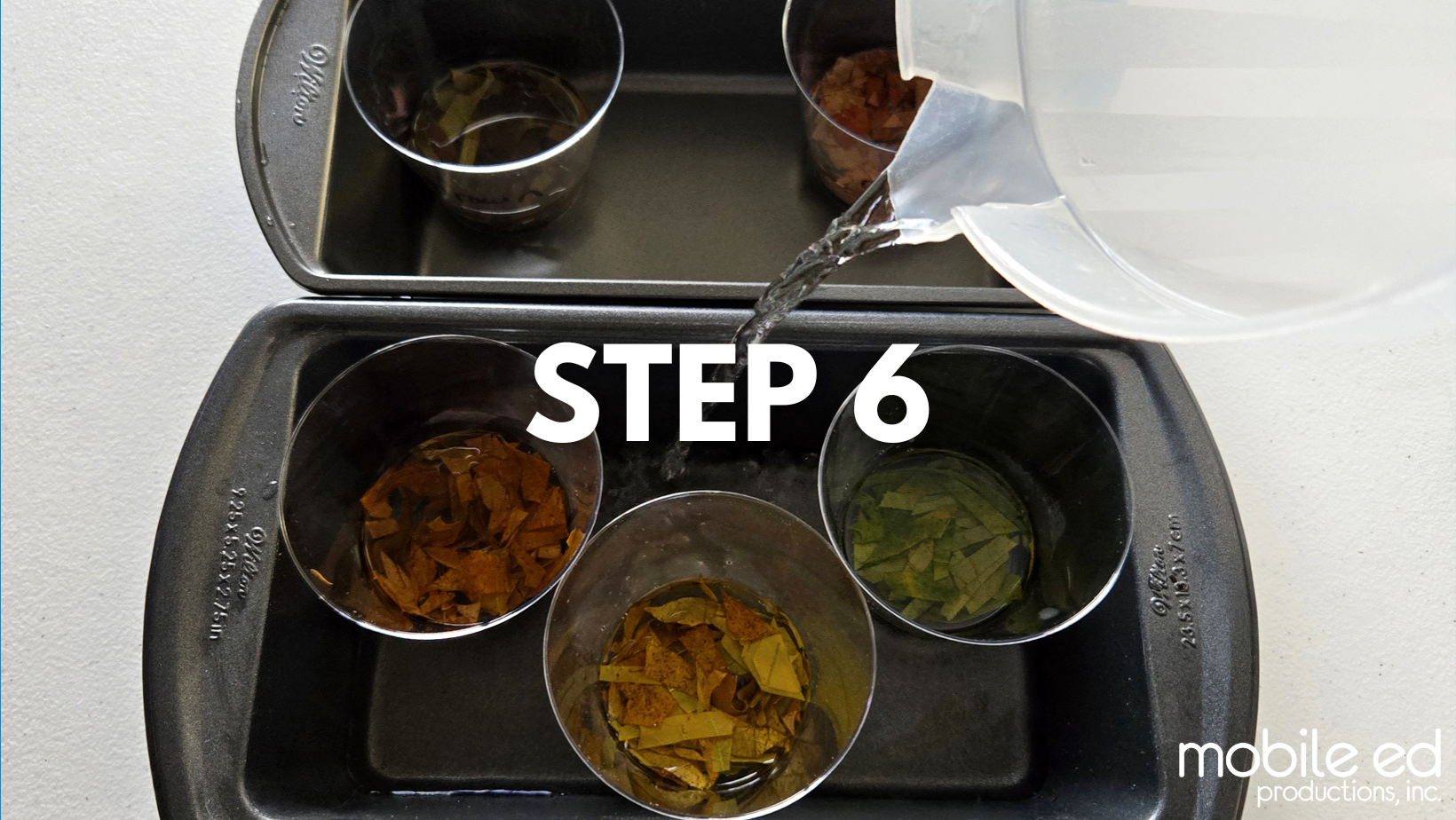 Leaf-Chromatography-Step6