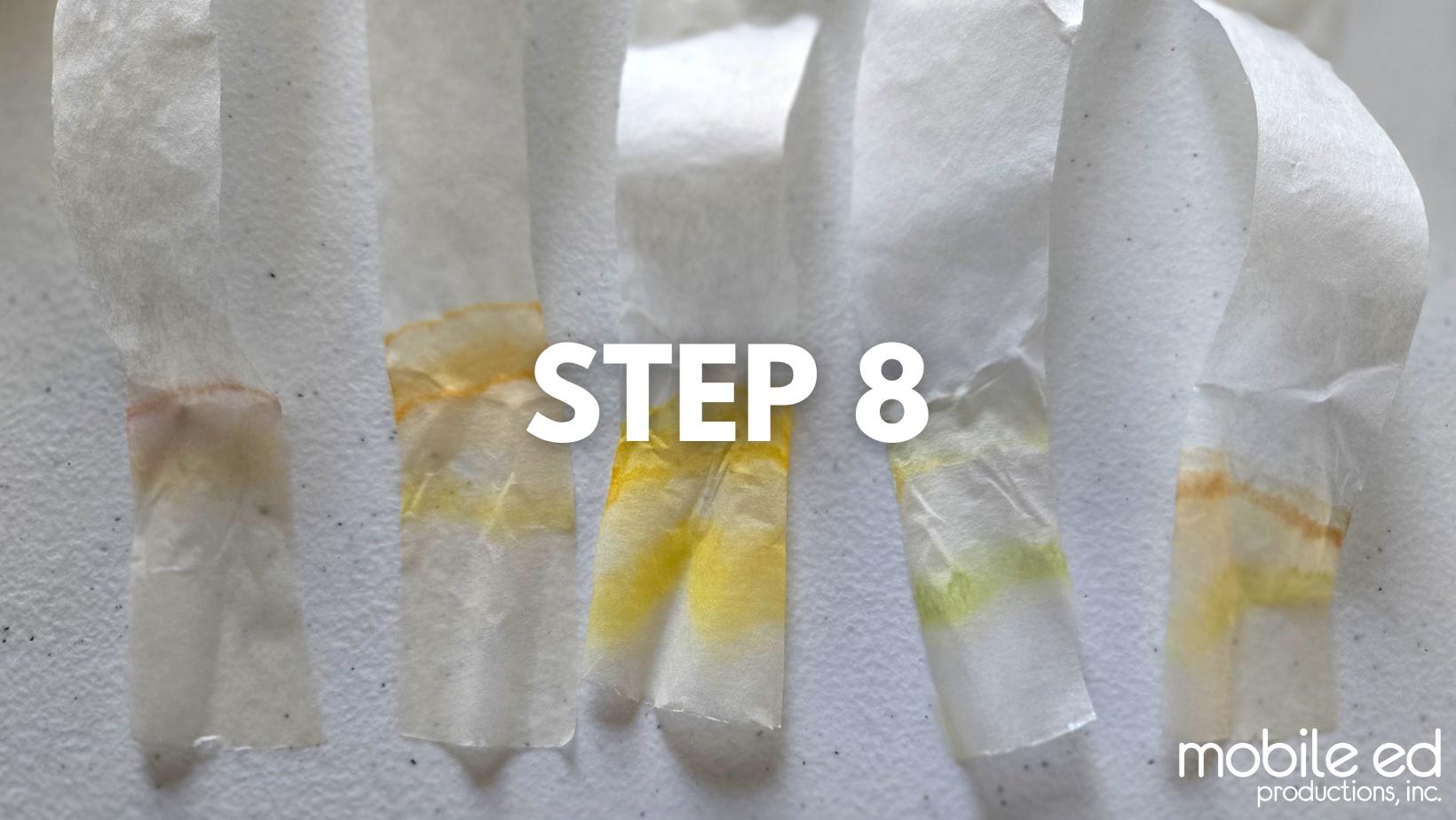 Leaf-Chromatography-Step8