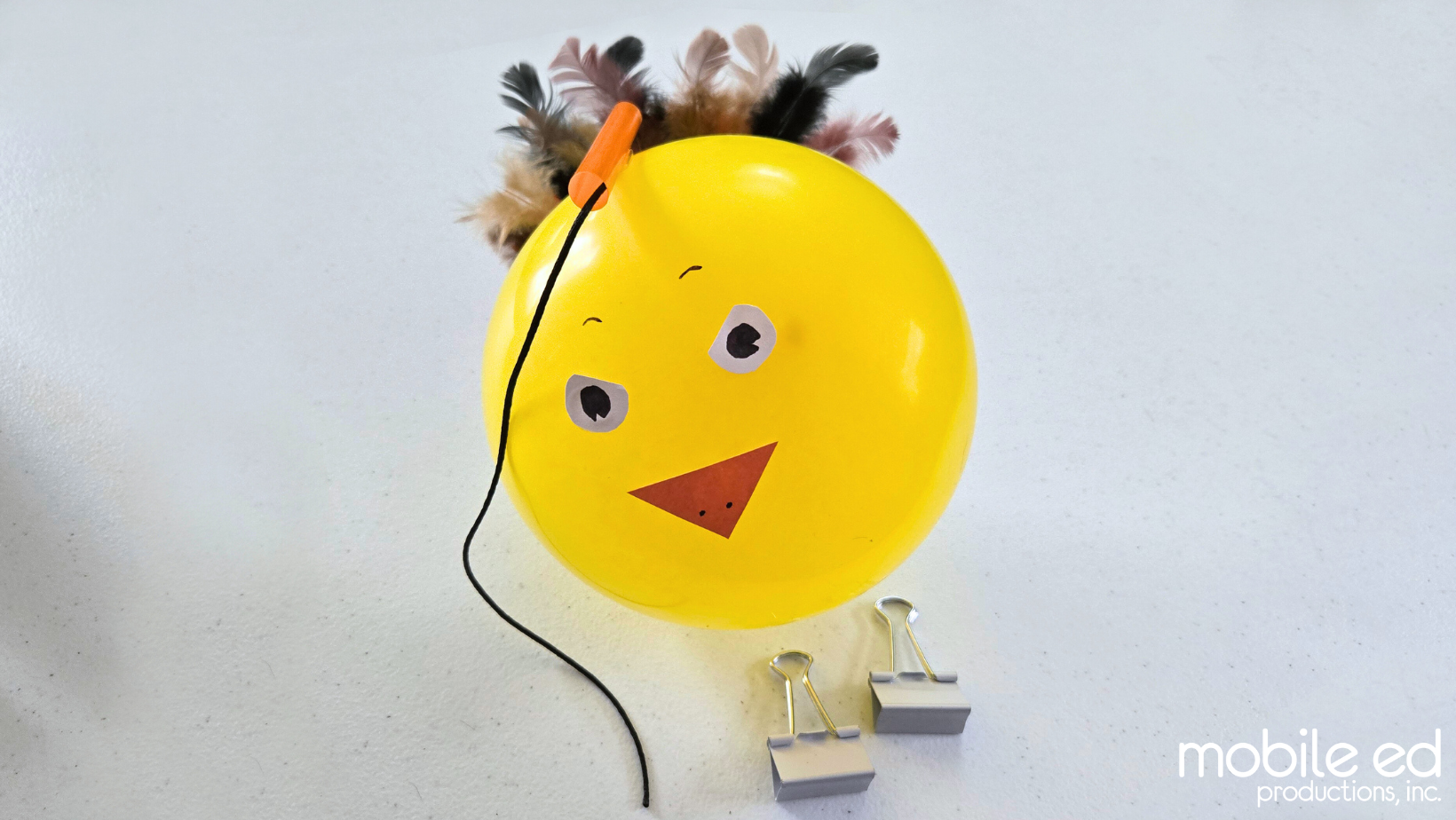 Thanksgiving Turkey Balloon Project